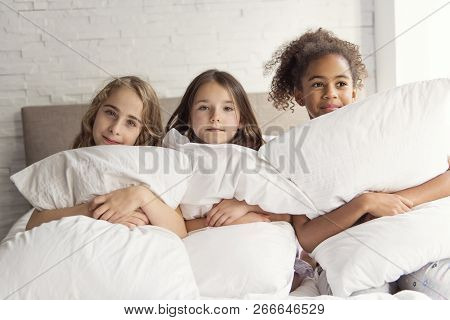 Group Of Tree Friends Taking Goog Time On Bed