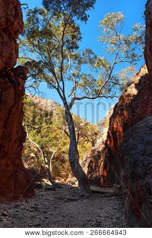 Standley Chasm, West Macdonnell Ranges National Park, Northern Territory, Australia