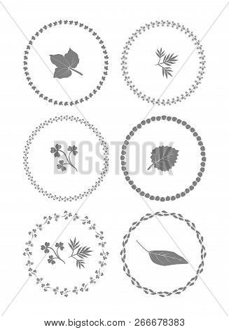 Herbal Ornament Frames. Set Of Vector Graphic Elements For Design