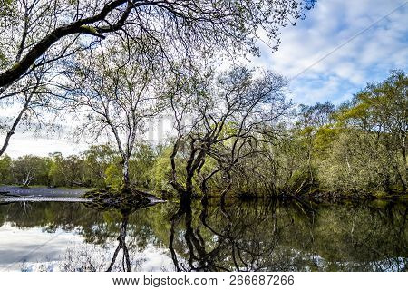 Reflections At Llyn Padarn With Dolbadarn Castle At Llanberis In Snowdonia National Park In Backgrou