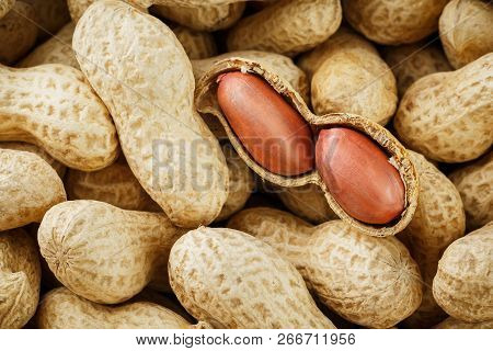 Peeled Peanut On Well Peanuts. Peanuts, For Background Or Textures.
