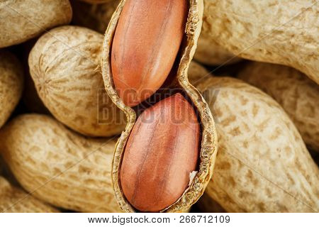 Peeled Peanut On Well Peanuts. Peanuts, For Background Or Textures.