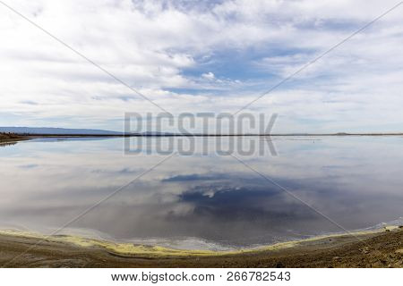 Alviso Slough Reflections In San Francisco Bay. Alviso Marina County Park, Santa Clara County, Calif