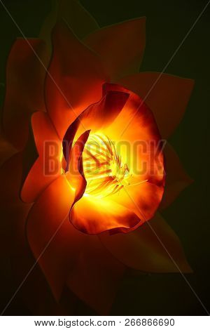 The Lamp Burns And Originally Lights Plafond Petals. The Plafond Of The Fixture Is Executed In The F