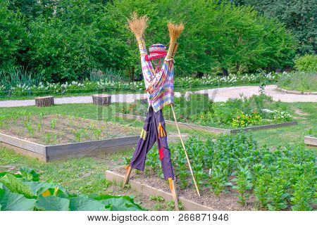 Colorful Scarecrow Stay In The Green Garden.