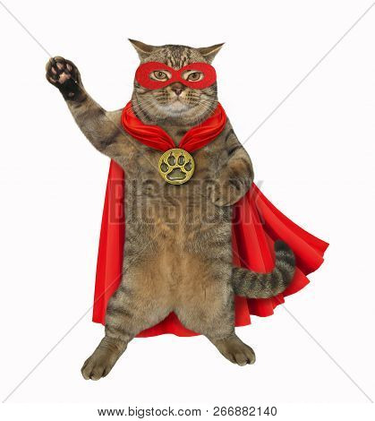 The Super Cat Is Wearing A Red Cloak, A Mask And A Golden Locket. White Background.