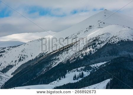 Morning Winter Snow Covered Scenery Picturesque Alp Mountain Ridge (ukraine, Carpathian Mountains, C