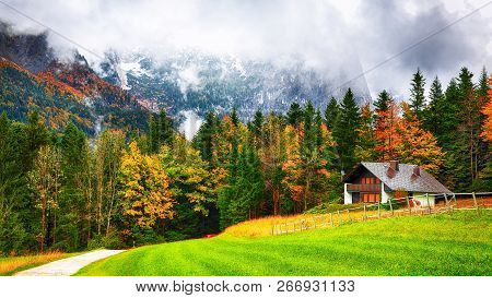 Idyllic Autumn Scene Near Grundlsee Lake. Alpine Forest At Autumn. Location: Resort Grundlsee, Lieze
