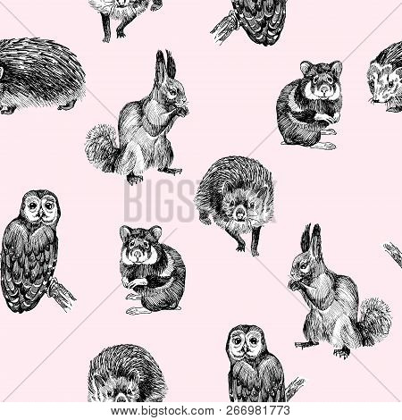 Seamless Pattern Of Highly Detailed Hand Drawn Squirrel, Owl, Hamster And Hedgehog On Light Pink Bac