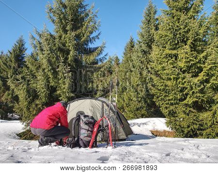 Hiker Prepare Equipment For Snowshoes Trip. Winter Few Days Trek In Snowy Mountains. Light Green Ten