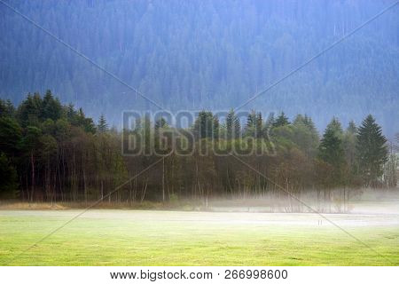 Dreamy landscape lost in thick fog. Fantastic morning glowing by gentle sunlight, foggy valley. Blurred Background.