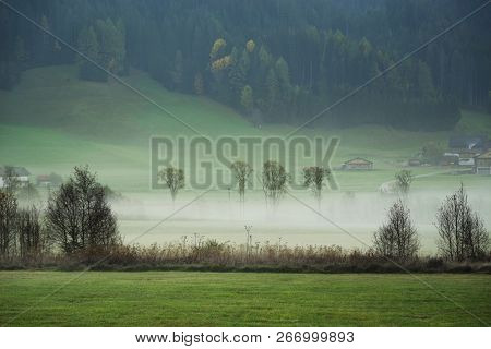 Dreamy landscape lost in thick fog. Fantastic morning glowing by gentle sunlight, foggy valley. Blurred Background.