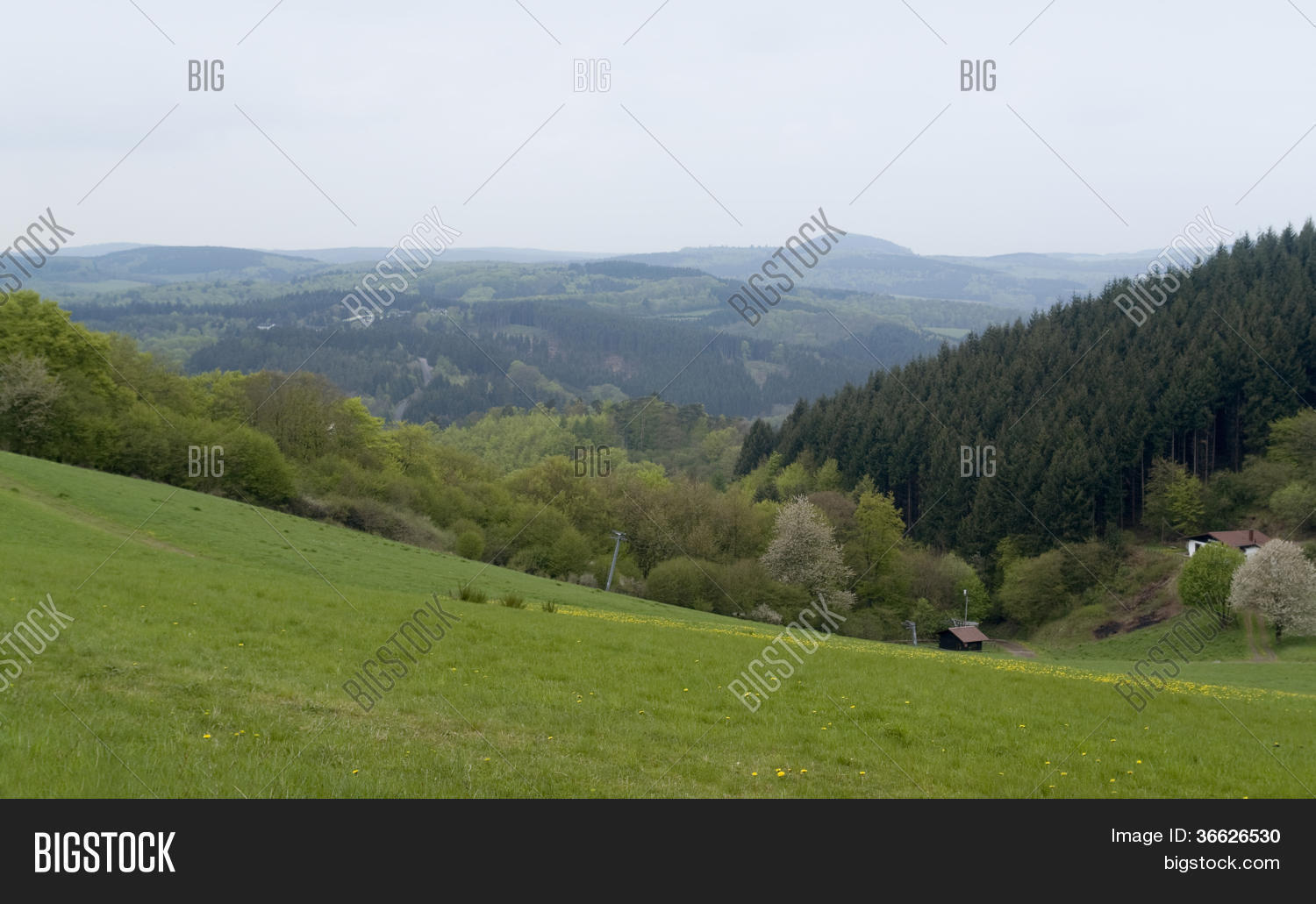 Image Preview