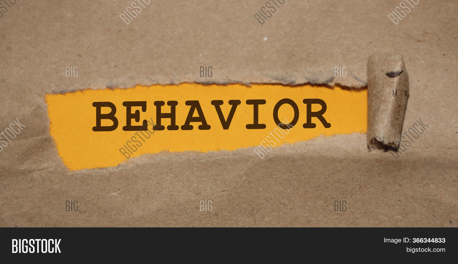 Behavior Word Written Image & Photo (Free Trial) | Bigstock