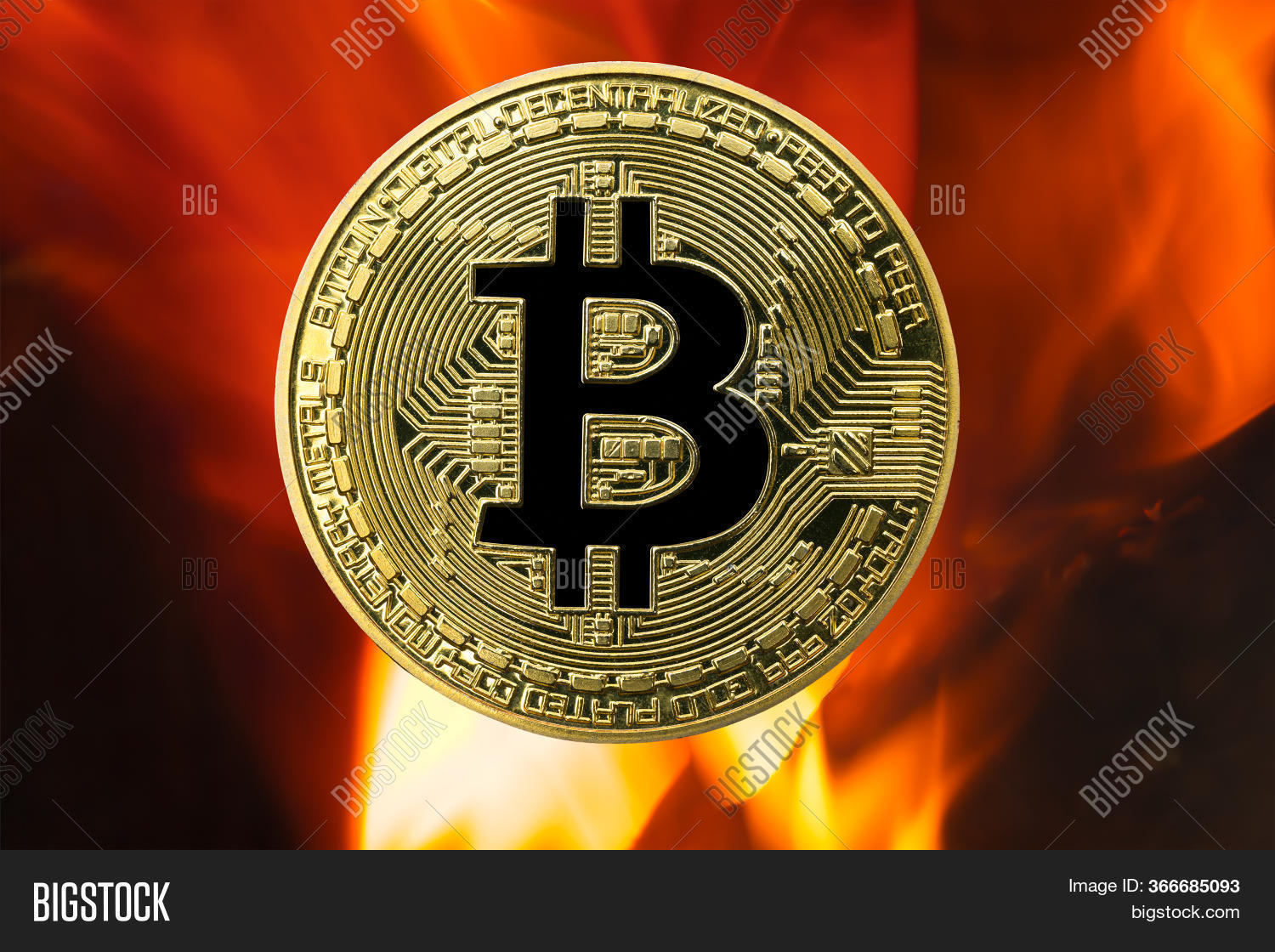 Physical Bitcoin Gold Image Photo Free Trial Bigstock