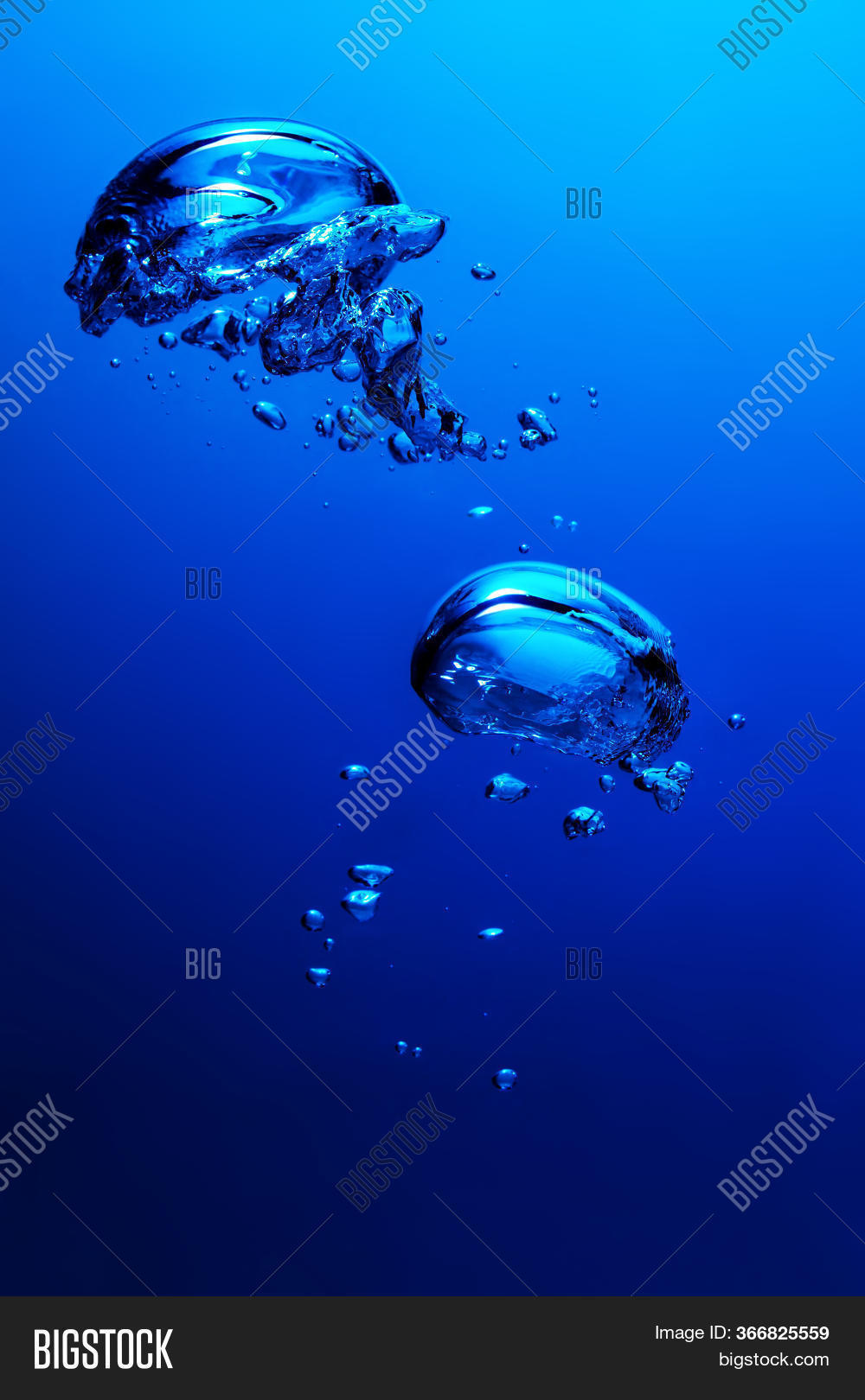 Air Bubbles Floating Image & Photo (Free Trial) Bigstock
