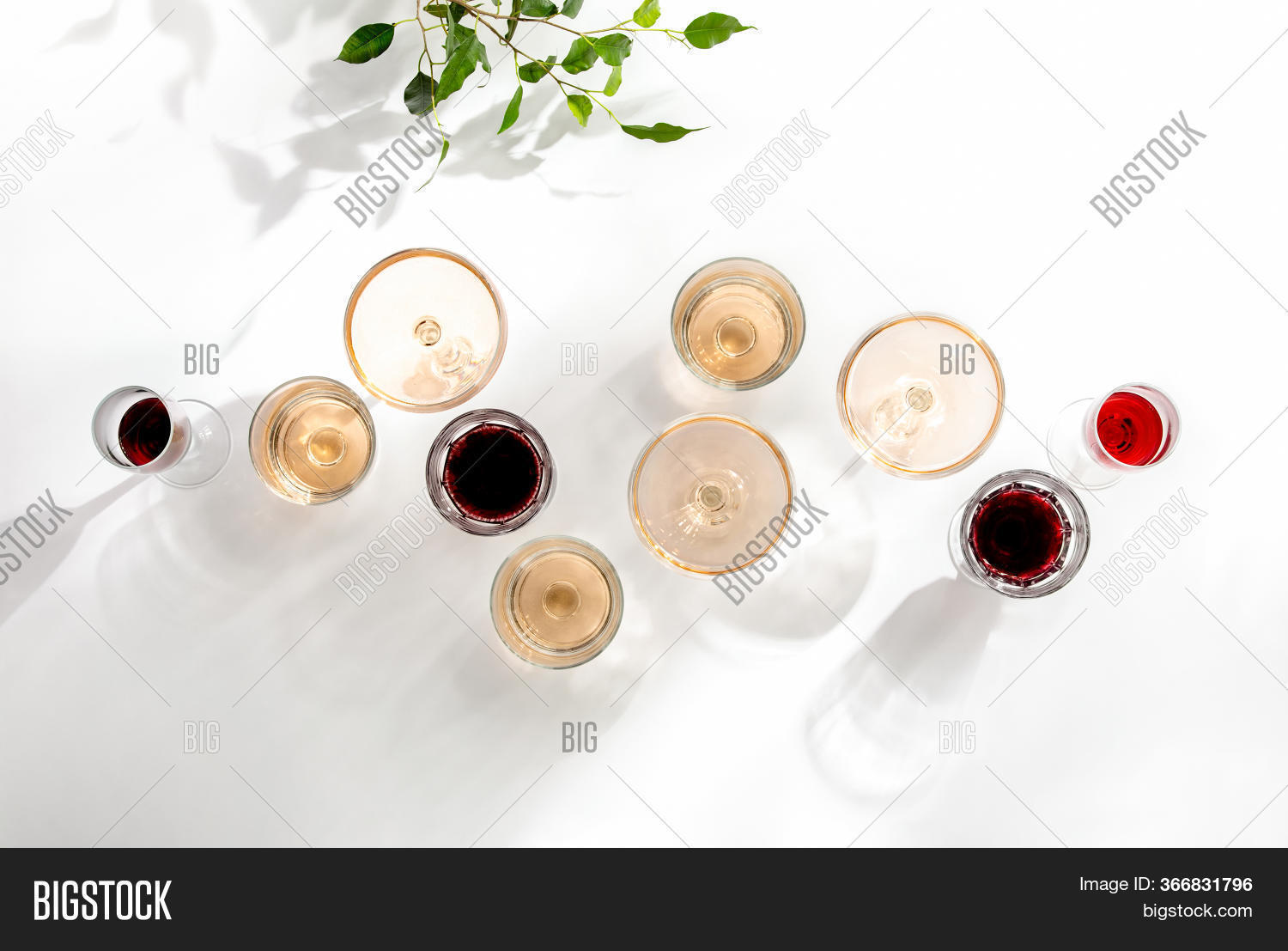 Rose Wine Assortment Image Photo Free Trial Bigstock