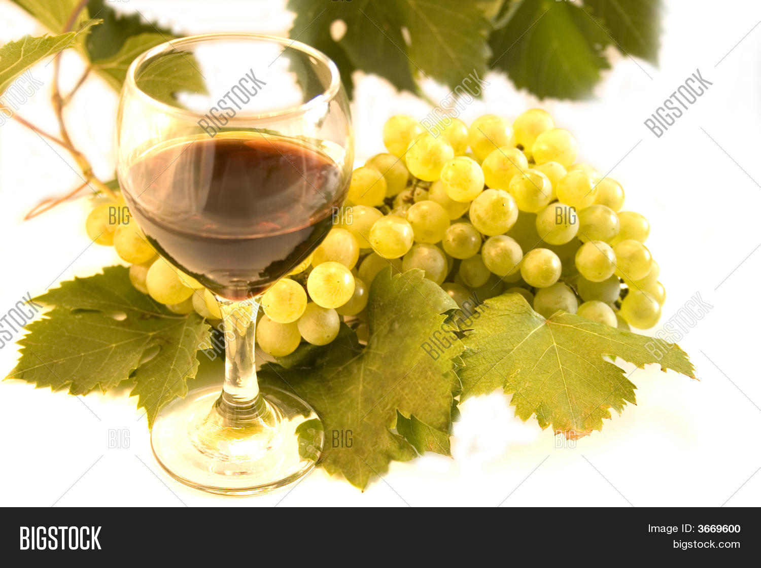 Image Preview