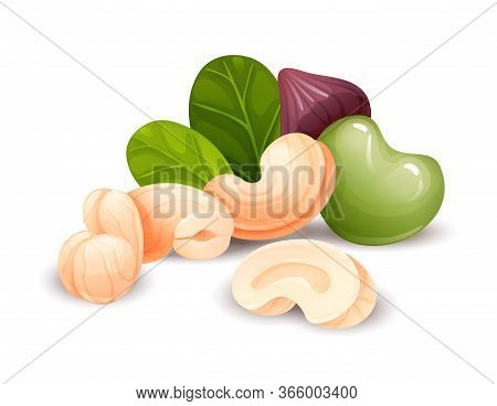 Cashew Nut Composition, Vector Cartoon, Food Label