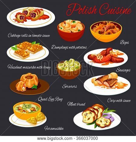 Polish Cuisine, Vector Meals Menu Template. Poland Meals Cabbage Rolls In Tomato Sauce, Dumplings Wi