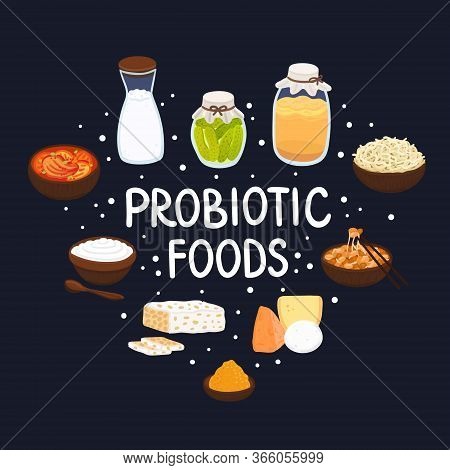 Vector Probiotic Foods. Best Sources Of Probiotics. Beneficial Bacteria Improve Health. Design Is Fo