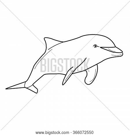 Dolphin Outline Vector Illustration, Coloring Page For Design And Creativity