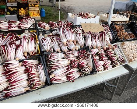Stand With Many Boxes Of Red Fresh Lettuce Called Late Radicchio In Italian Language For Sale At The