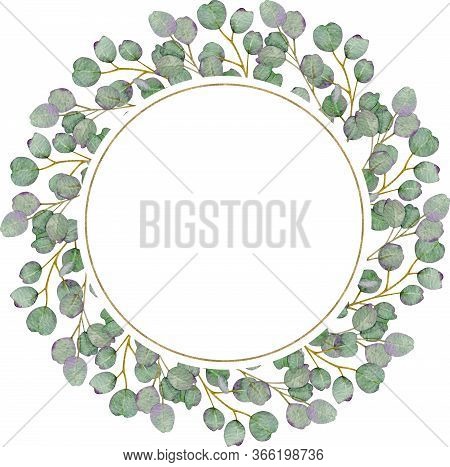 Eucalyptus Branch Round Rustic Wreath On The White Background. Watercolor Hand-drawn Illustration. B