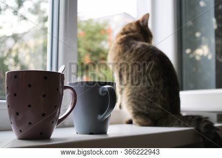 Red Cat Sitting On The Windowsill Near The Open Window. Cups Are In The Foreground