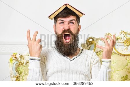 Mad Teacher Concept. Man On Mad Face With Beard And Mustache Sits On Sofa, White Wall Background. Ma