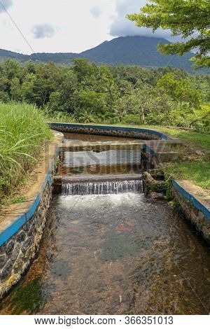 Lush Green Balinese Rice Fields. Irrigation Called Subak, A Trad