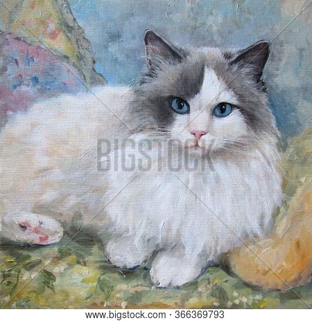 Portrait Of A Ragdoll Cat, Oil Painting