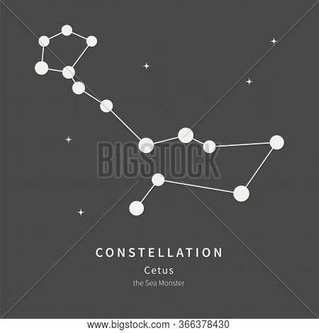 The Constellation Of Cetus. The Sea Monster - Linear Icon. Vector Illustration Of The Concept Of Ast