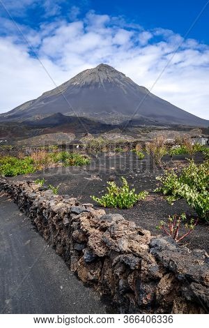 Pico Do Fogo And Vine Growing In Cha Das Caldeiras, Cape Verde