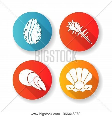 Different Sea Shells Flat Design Long Shadow Glyph Icons Set. Seashells Collection, Conchology Open 