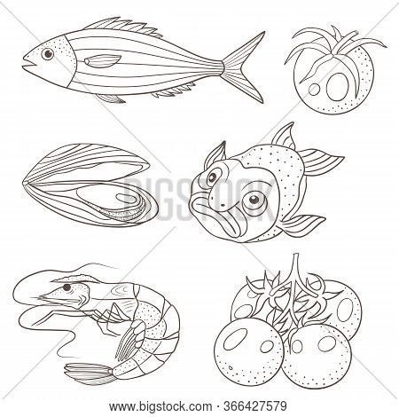 Vector Graphic Illustration With Sea Food And Tomatoes On A White Background