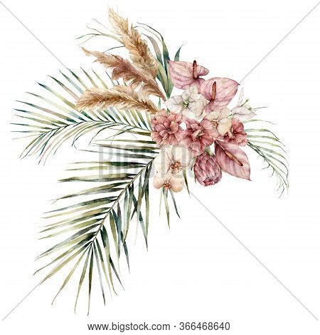 Watercolor Tropical Bouquet With Queen Protea, Hibiscus, Anthurium, Bougainvillea And Orchid. Hand P