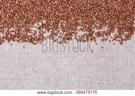 Raw Roasted Buckwheats  On Coarse Cloth Background With Copy Space. Russian Grechka On Sacking. Orga