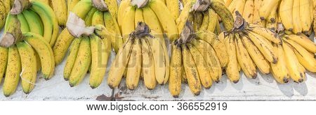 Panoramic Abundance Of Banana Bunches At Fruit Stand In Geylang, Singapore