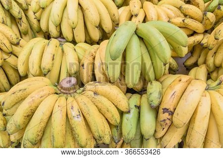 Full Background Close Up Abundance Of Banana Bunches At Fruit Stand In Geylang, Singapore
