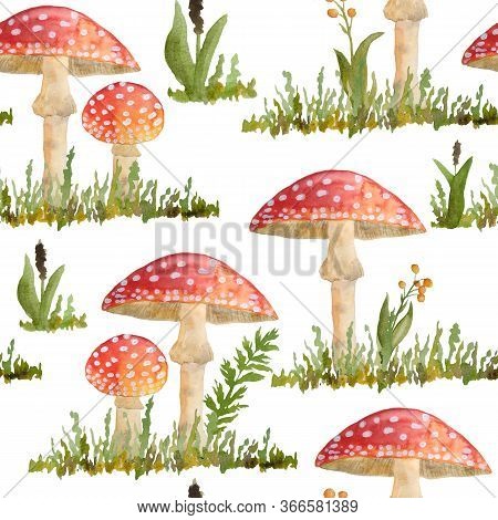 Hand Drawn Watercolor Seamless Pattern With Poisonous Mushrooms Red Amanita Muscaria. Wild Fungus Fu