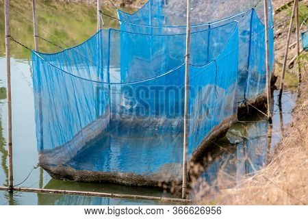 Fish Cage Floating In River Use For Raising Fish, Built With Blue Plastic Barrels, Iron Pipes, Wood 