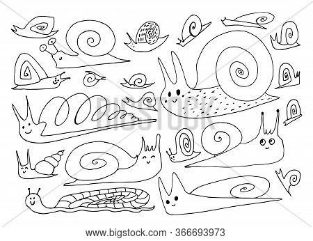 Set Of Hand Drawn Snails Or Slugs Isolated On White Background