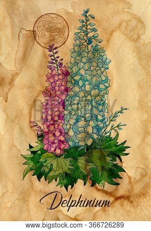 Delphinium Flower With Magic Seal On Old Paper Texture Background. Witch Healing Herbs Collection Fo