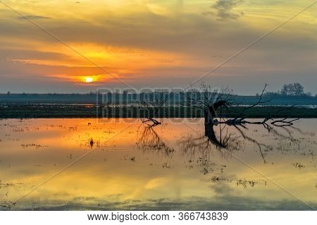 Sunrise Landscape With Nice Reflection, Landscape Hortobagy National Park, Hungary Puszta, Europe Wi