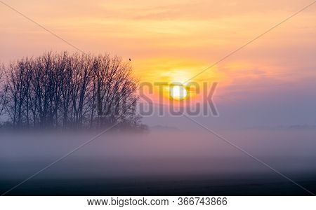 Sunrise Over Misty Landscape Of Hortobagy, On Tree Is Sitting Eagle Silhouette. Hortobagy National P