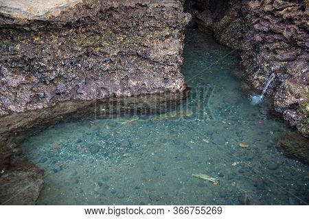 Sacred Holy Water Well In Tanah Lot Cave Under Tanah Lot Temple An Iconic Water Temple In Bali Islan