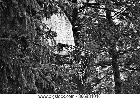Very Old Abandoned Basketball Hoop That Is Falling Apart