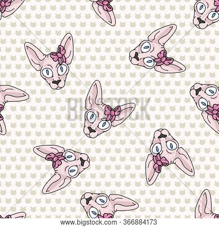 Cute Cartoon Sphynx Kitten Face With Pink Bow Seamless Vector Pattern. Pedigree Exotic Kitty Breed D
