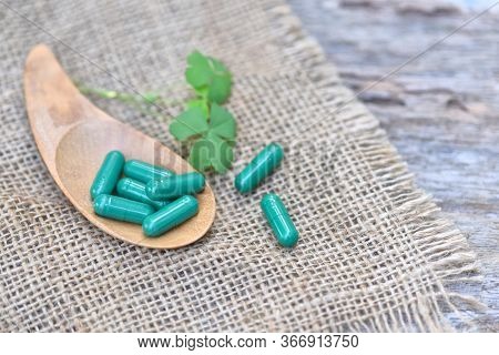 Herbal Medicines / Natural Herb Capsules Andrographis Paniculata In Spoon On Wooden Rustic Backgroun